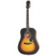 EPIPHONE DR-100