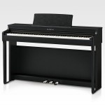 Kawai CN29