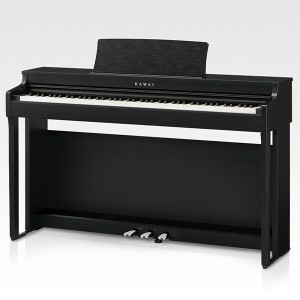 Kawai CN29