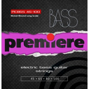 Premiere strings PEBGS45-100